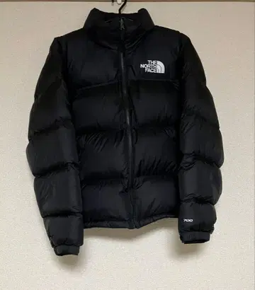 THE NORTH FACE 1996 레트로 눕시 다운 자켓