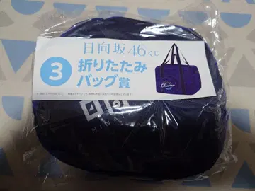 히나타자카46 접이식 백