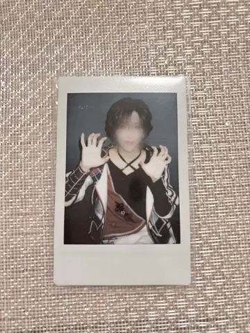 러브시크 사쿠라 폴라로이드