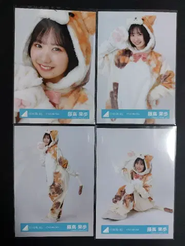 히나타자카46 후지시마 카호 동물 인형옷 컴프