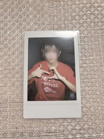 러브시크 사쿠라 폴라로이드