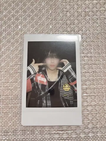 사쿠라 폴라로이드