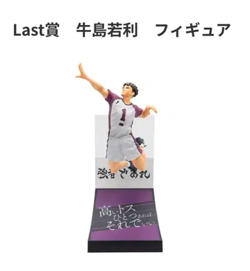 우시지마 와카토시 히나타 쇼요 카게야마 토비오 피규어 세트 최저가