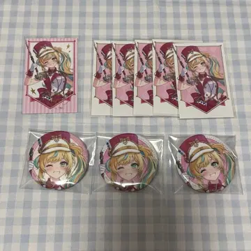 타테츠덴 토토 폴라로이드 캔뱃지