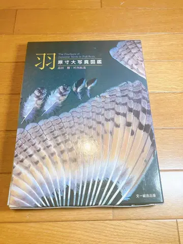 [깃털 원 사이즈 사진 도감] 카노우치 타쿠야 / 타카다 마사루