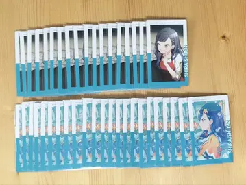 프로세카 시로이시 안 에피카 23C 41장 세트