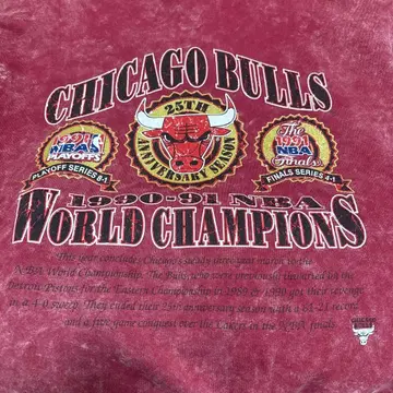 90s USA제 너츠메그 NBA 시카고 불스 스웨트 셔츠