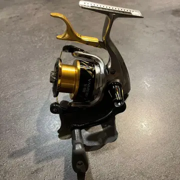 16 데스피나 BB-XDESPINA2500DXG 2