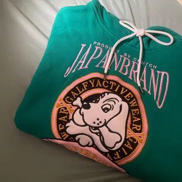 갈피 트레이너 대형견