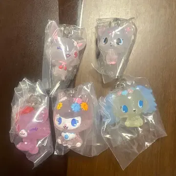 주얼펫 표식 참 5개 세트