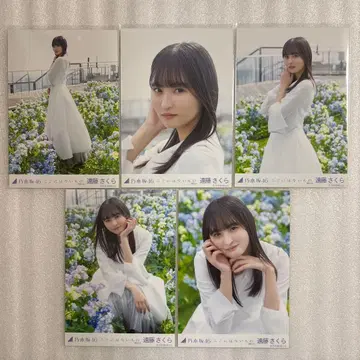 노기자카46 엔도 사쿠라 컴프 브로마이드 K