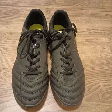 TIGORA 티고라 풋살화