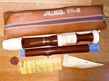 아우로스 AULOS 알토 리코더 319A 브라운