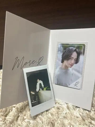 키쿠치 후마 more 골드 회원 한정판 트레이딩 카드 timelesz