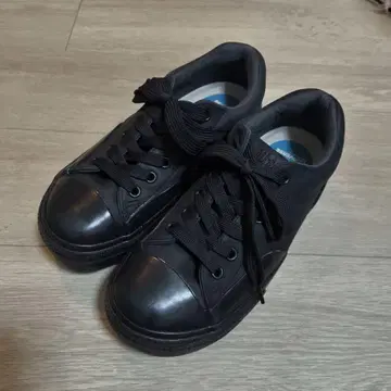 기간 한정 컨버스 올스타 R 보더스타 턱스 북스토어