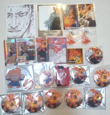 나의 히어로 아카데미아 엔데버 세트