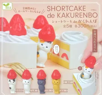 숏 케이크 de 숨바꼭질