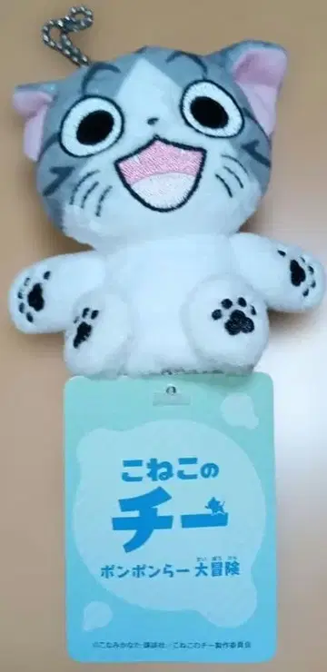 아기 고양이 치