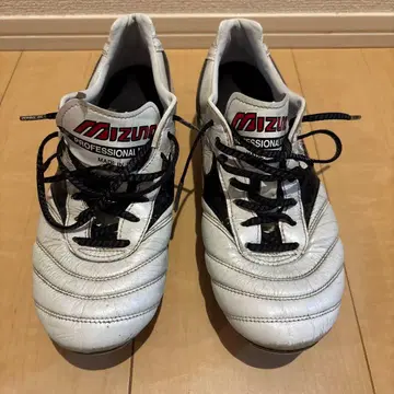 모렐리아 2 재팬 MIX