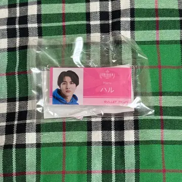 EBiDAN museum 네임 초특급 하루