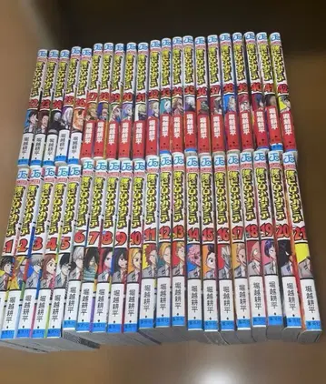 나의 히어로 아카데미아 전 42권 세트 덤 포함