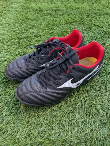 미즈노 모나르시다 트레이닝 슈즈 24.5