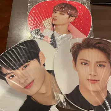 SEVENTEEN 준 부채 3개