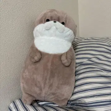 브라운 봉제 인형 본체