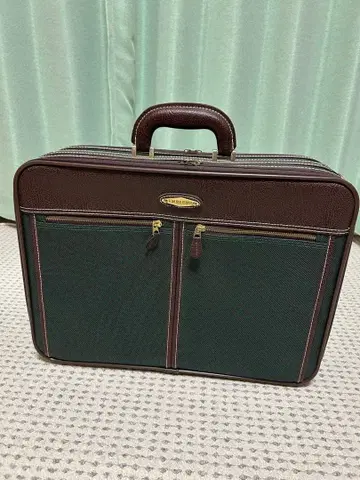 비즈니스 백 그린과 브라운