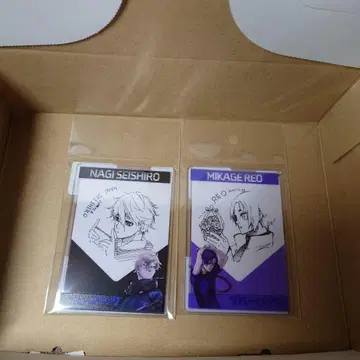 미개봉 블루 록(블루 록) 이세탄 경질 카드 케이스 나기 미카게 레오