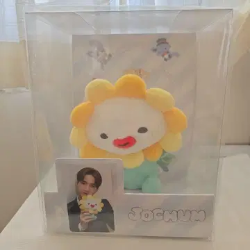 JO1 JOCHUM Bira 봉제 인형 사토 케이고 트레이딩 카드 포함