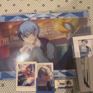 프로세카 아오야기 토야 정리