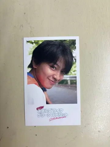 후지모토 코다이 스멜즈 라이크 그린 스피릿 폴라로이드 카드