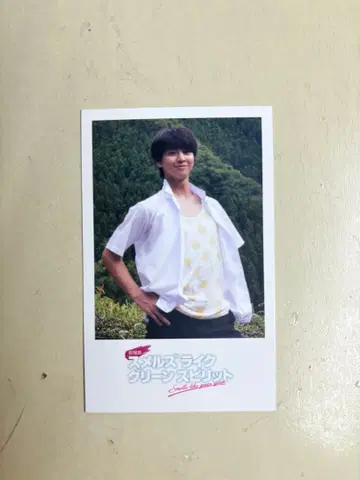 후지모토 코다이 스멜즈 라이크 그린 스피릿 폴라로이드 카드