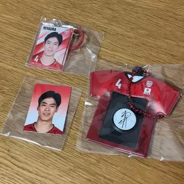 전일본 남자 배구 가챠가챠