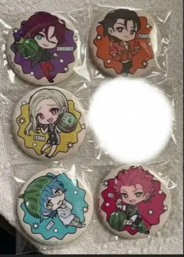 카리스마 캔뱃지