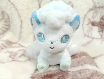 포켓몬 센터 알로라식스테라 푸치 봉제 인형