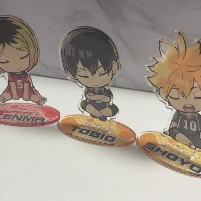 하이큐 아크릴 스탠드 히나타 카게야마 켄마