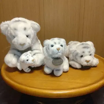 AURORA CLASSIC 화이트 타이거