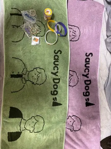 Saucy Dog 러버 밴드와 타월 세트