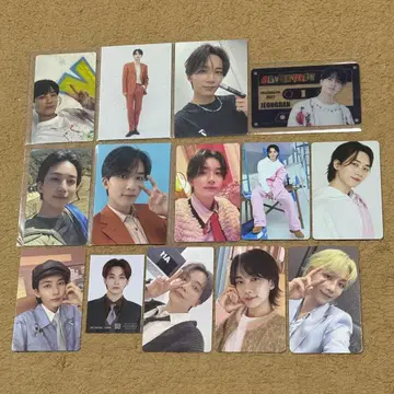 SEVENTEEN 정한 트레이딩 카드 14장 세트