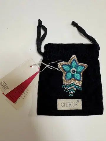 CITRUS 별 모양 비즈 브로치