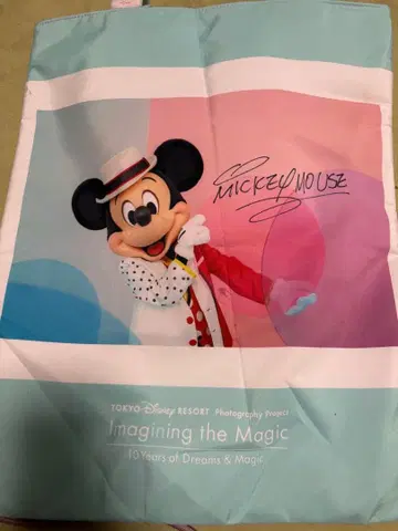 디즈니 이매지닝 더 매직 토트백