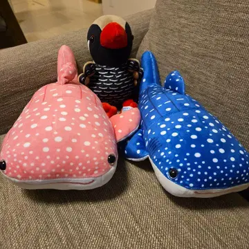 츄라우미 수족관 고래상어 봉제 인형 고래상어 복권 얀바루쿠이나 핑크