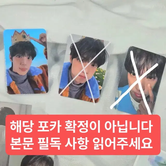 최립우 미개봉 앨범 포토북 포카 미공포 보플2 디마뮤 후즈팬 분철 앺뮤