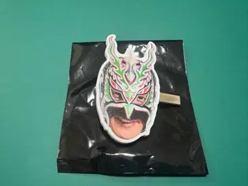 드래곤 게이트 드래곤 키드 선수 얼굴 헤어 클립