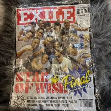 EXILE STAR OF WISH Final 티셔츠