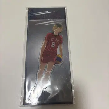 하이큐!! 아크릴 스탠드