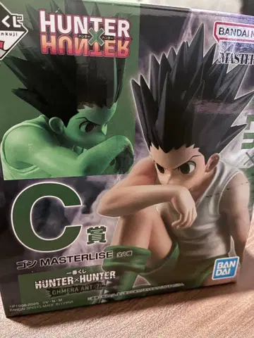 HUNTER x HUNTER 곤 마스터라이즈 C상