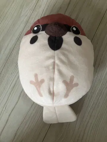 USJ 귀멸의 칼날 춘타로 젠이츠